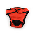 Couche pour Chien Incontinence