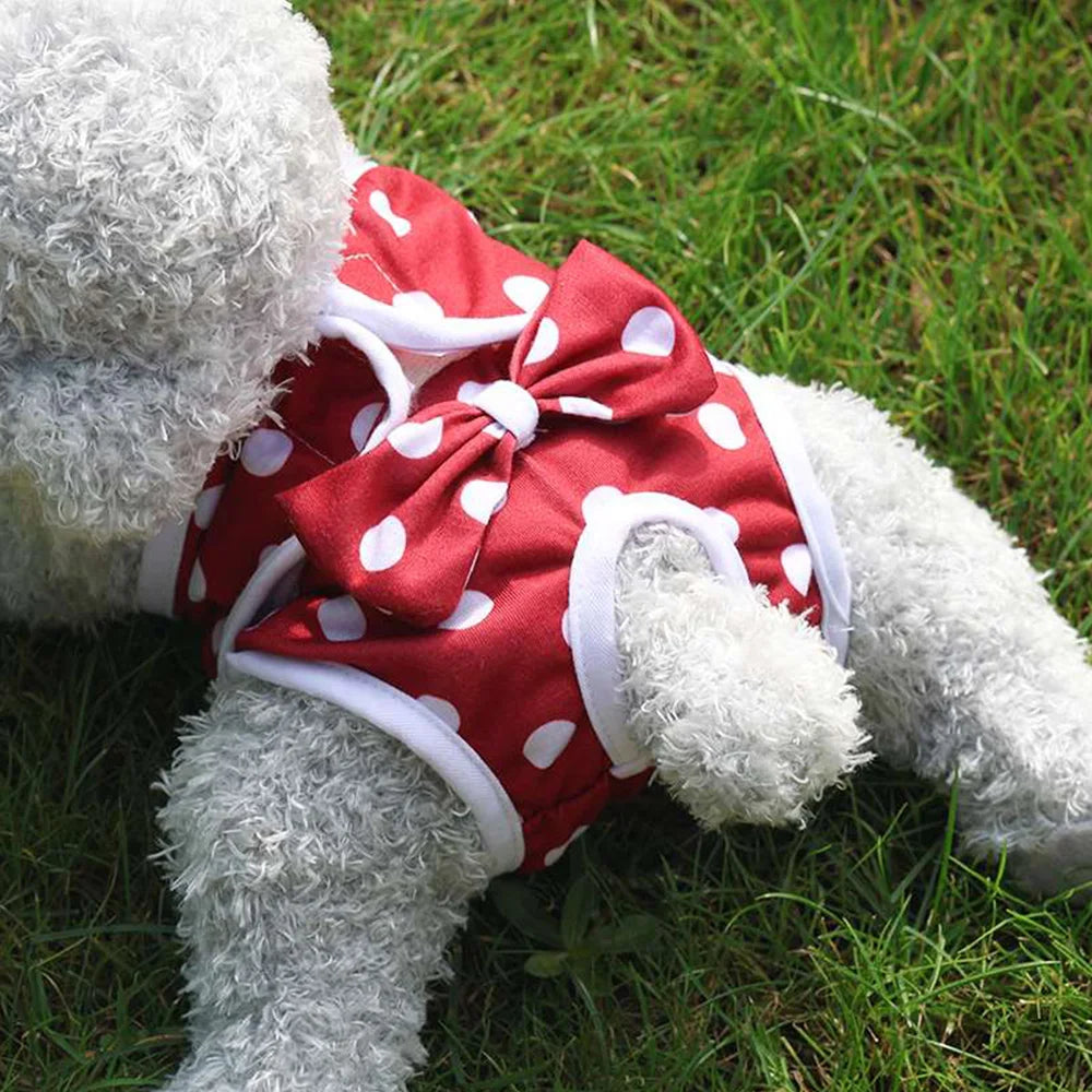 Couche pour Chien Femelle