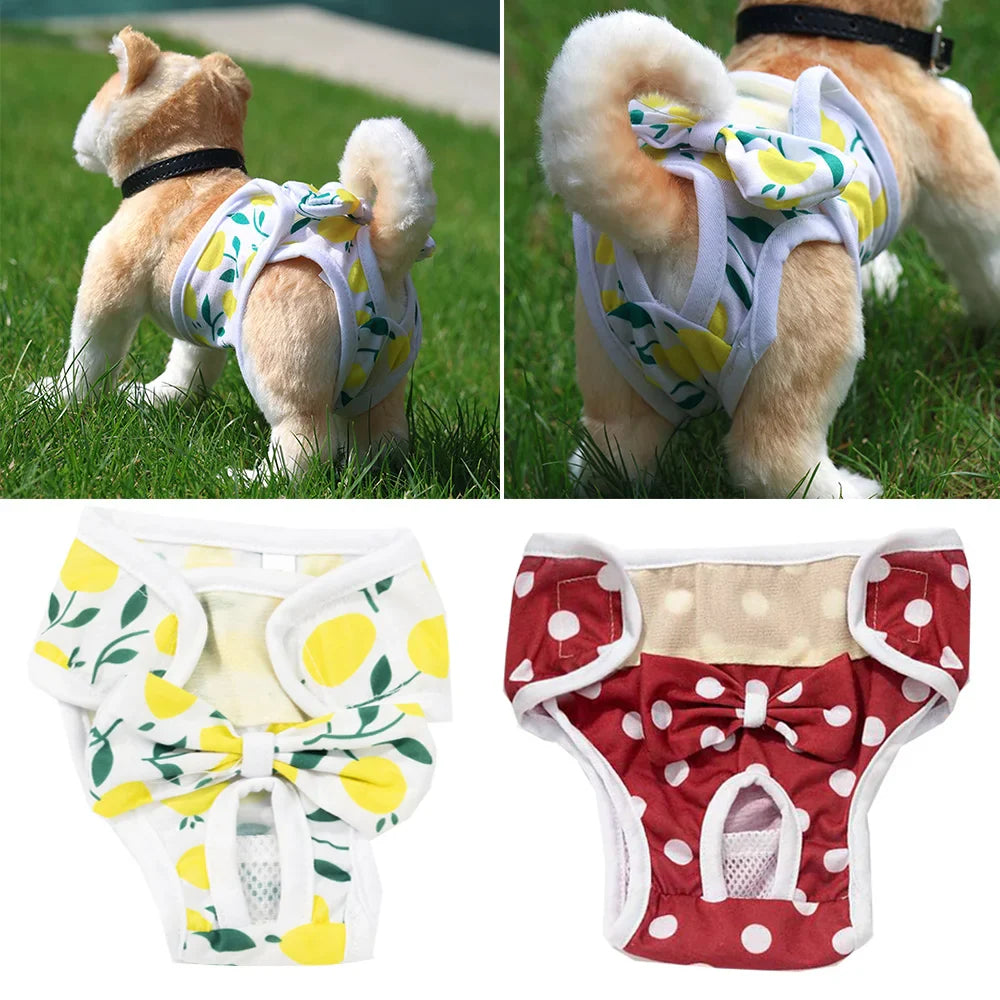 Culotte Hygiénique pour Chienne