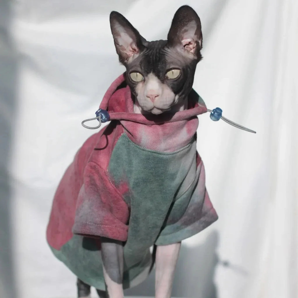 Veste pour Chat Sphynx