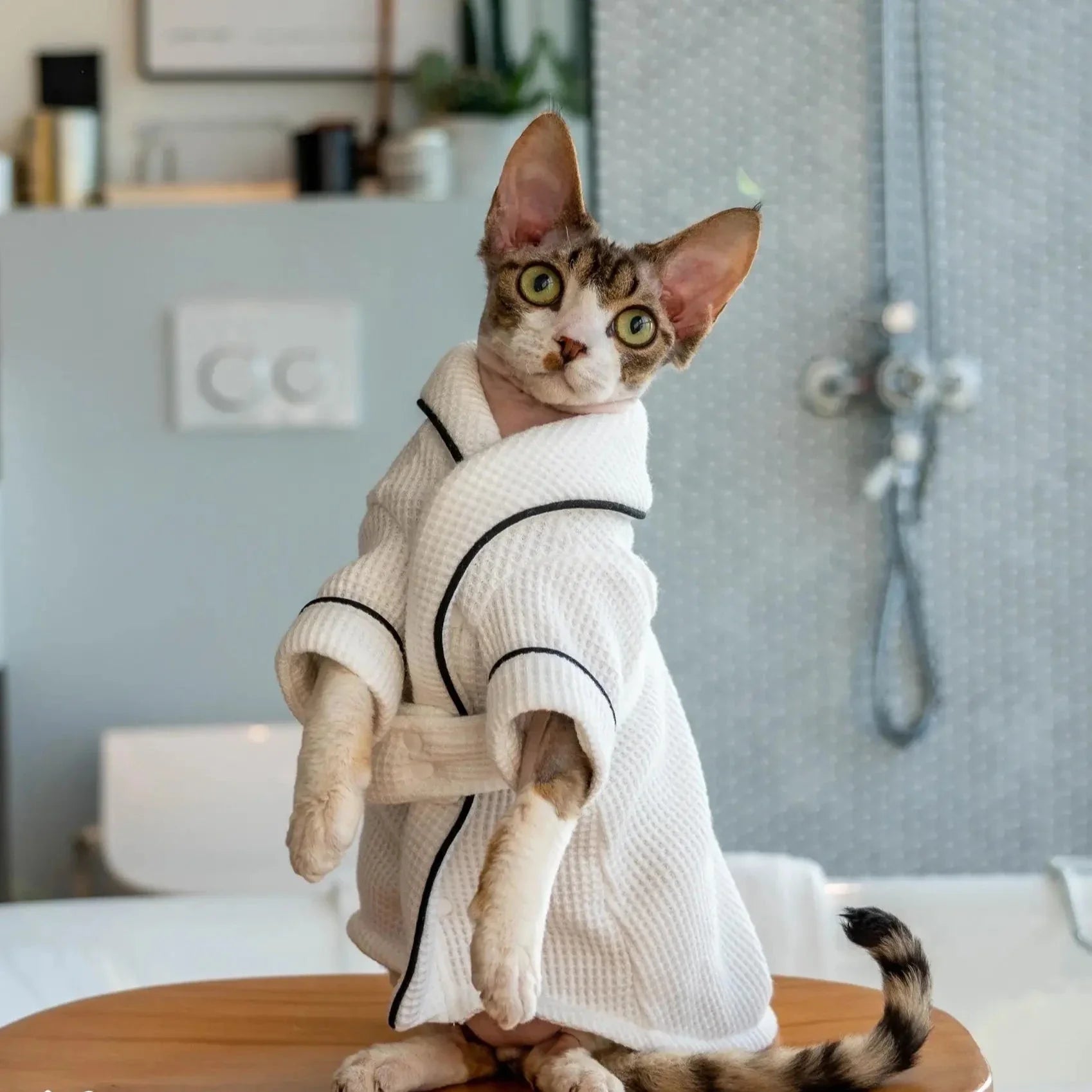Peignoir pour Chat
