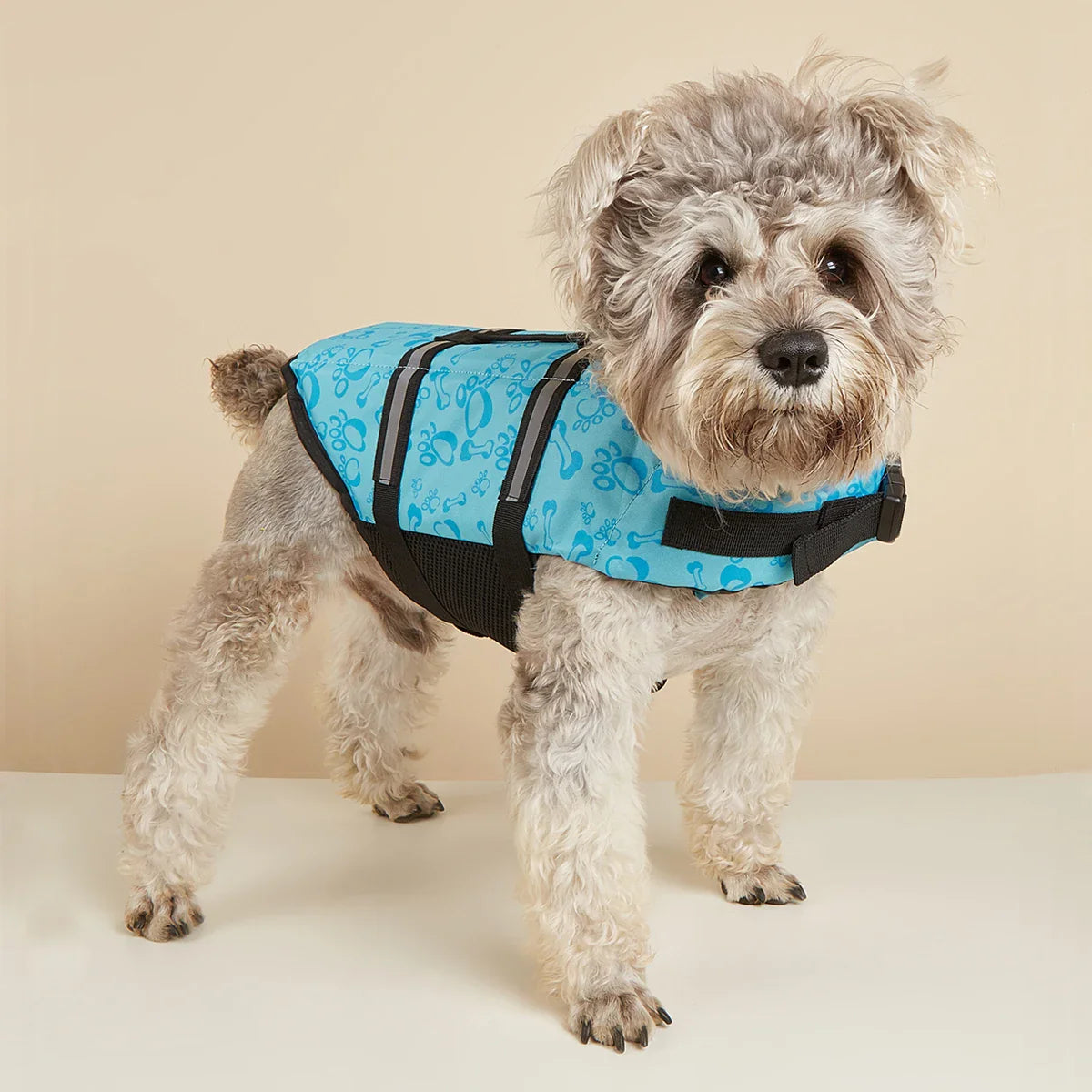 Gilet Sauvetage Chien Eau - XXS à XXL