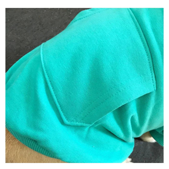 Sweat Chien Maitre Unisex
