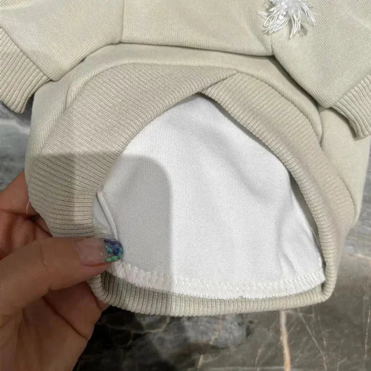 Hoodie pour Chien et Maitre
