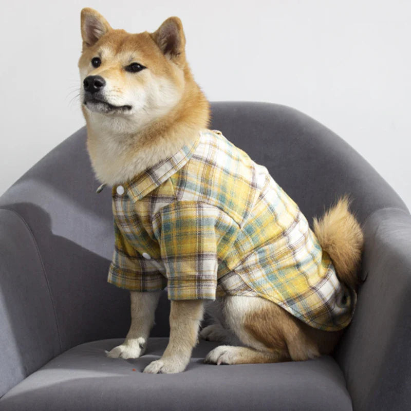 Chemise Ecossaise pour Chien
