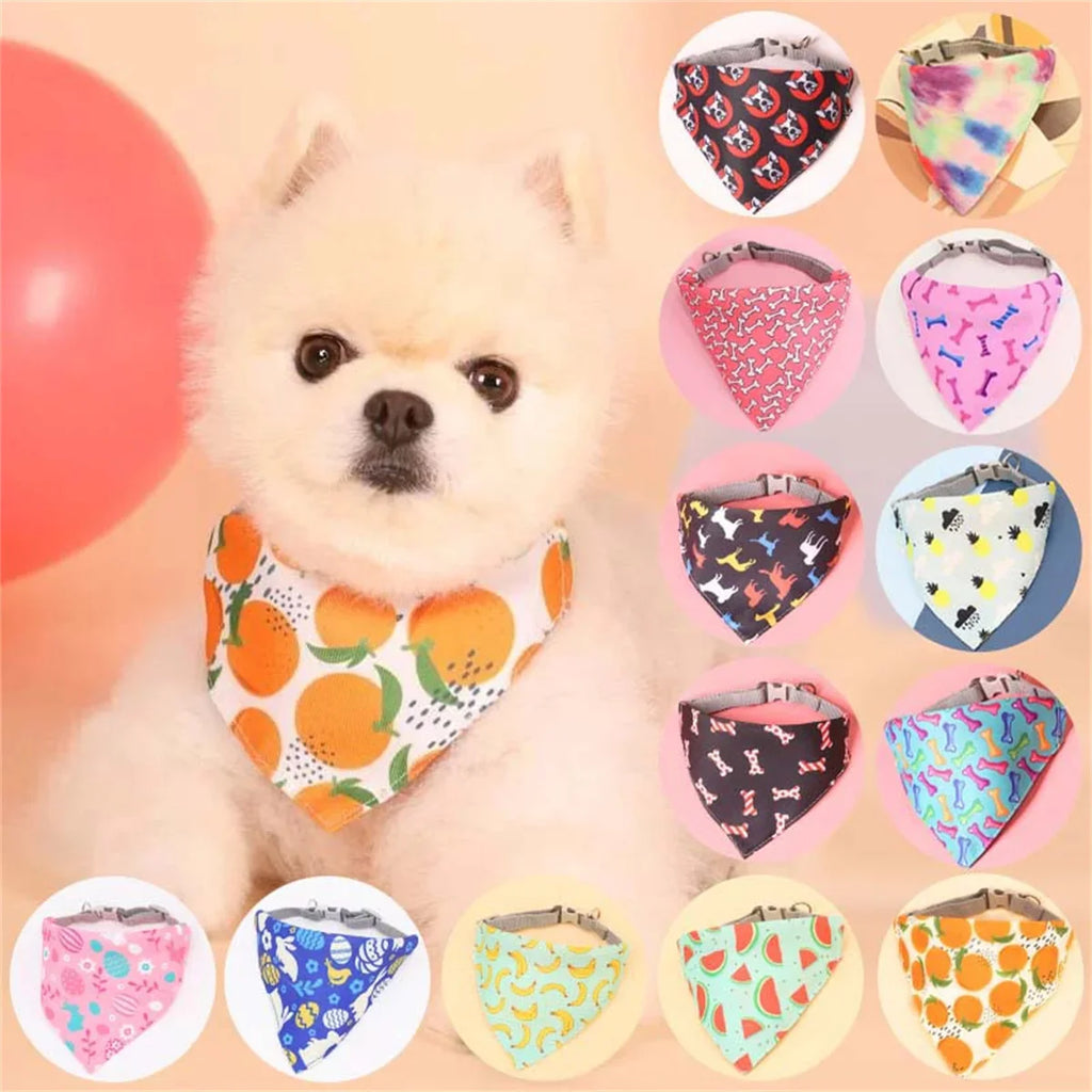 Bandana Chien Fruit Orange