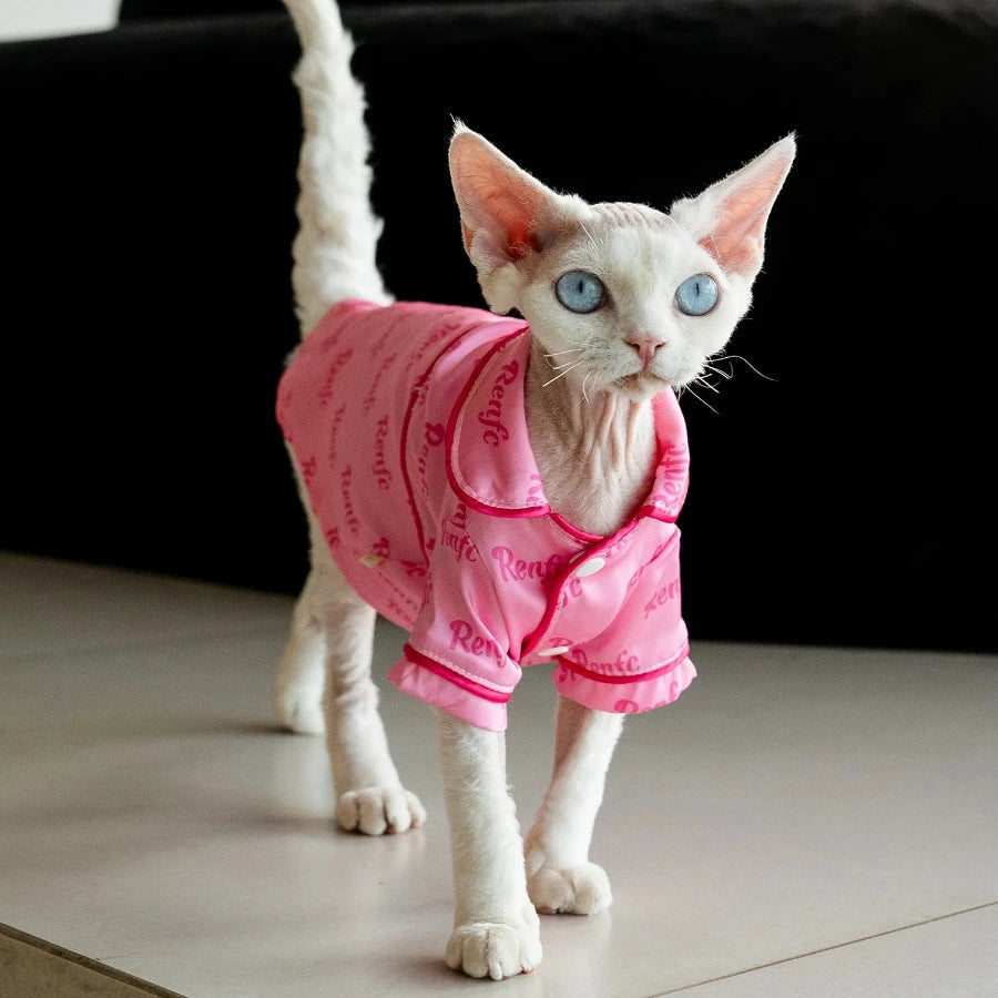 Chemisette pour Chat