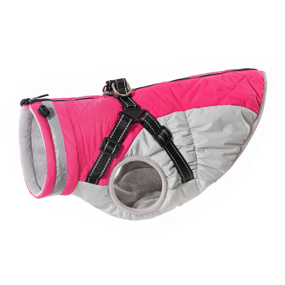 Manteau Chien Harnais Intégré