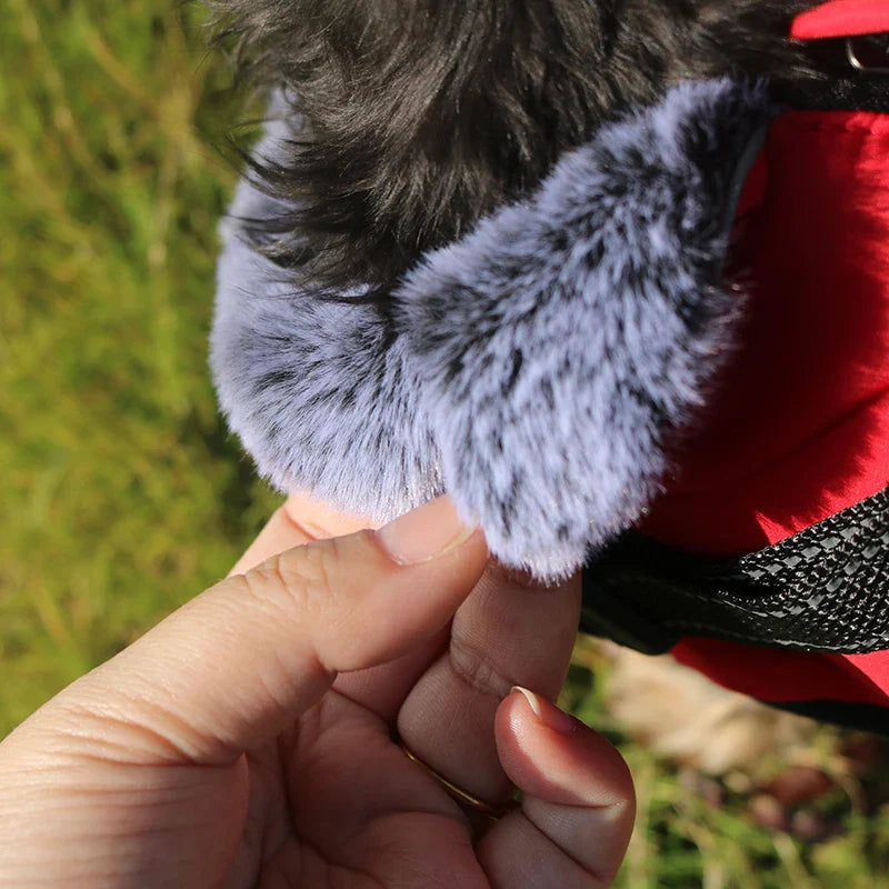Veste Fourrure Chien