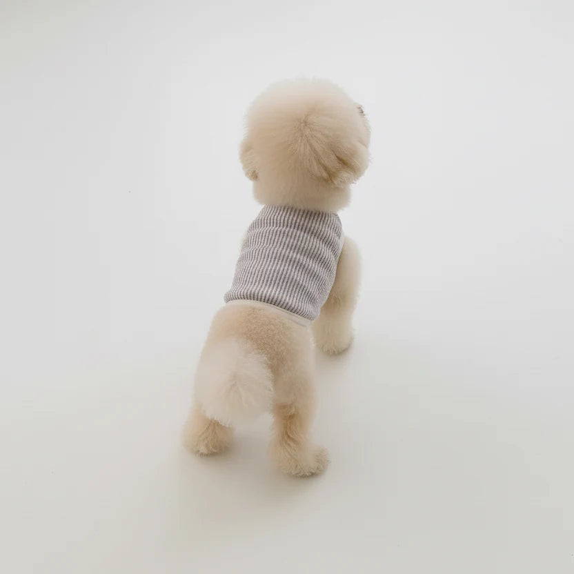 T-shirt Sans Manches Pour Petit Chien