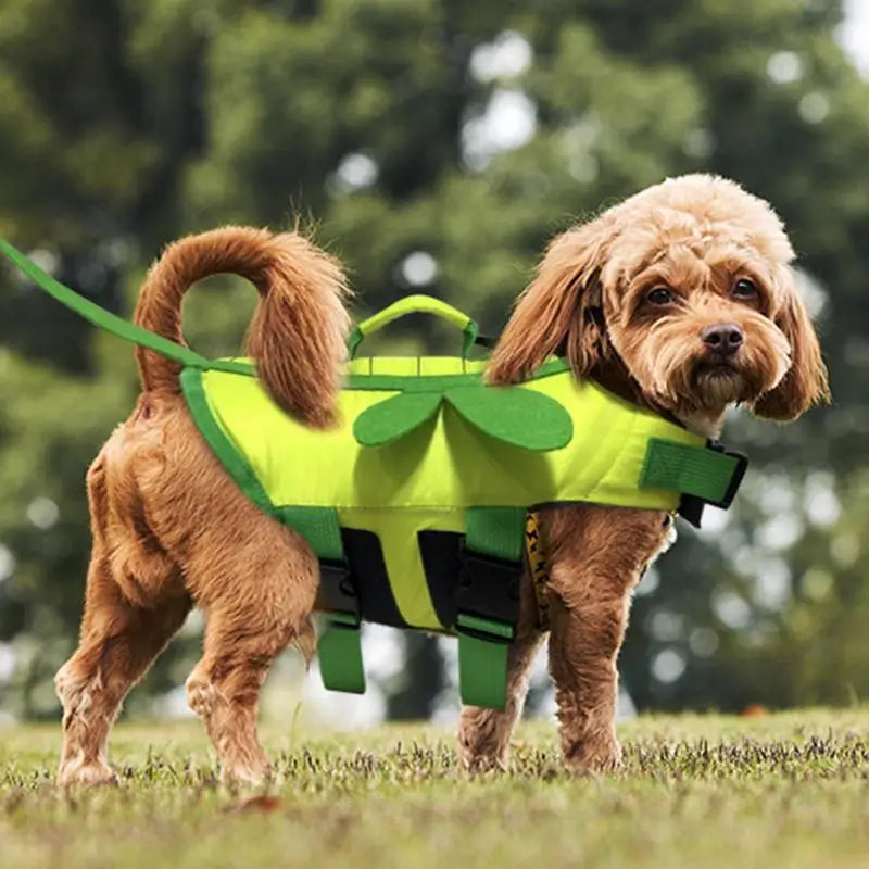 Gilet Sauvetage Chien Abeille