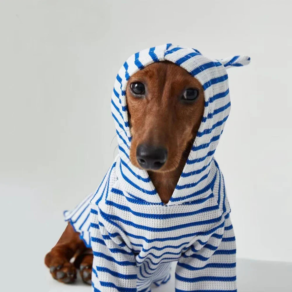 Tee-shirt à Capuche Rayé Pour Chiens Teckel