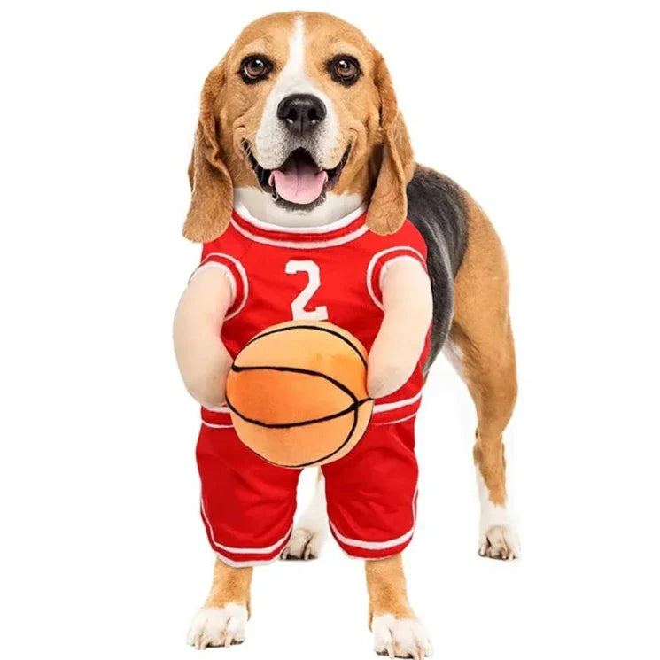 Déguisement Basketteur pour Chien