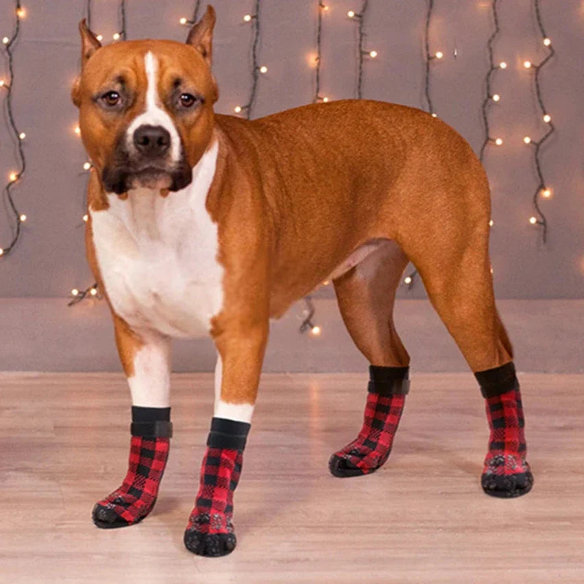 Chaussette pour Chien Parquet Antidérapant