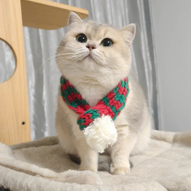 Echarpe de Noël pour Chien