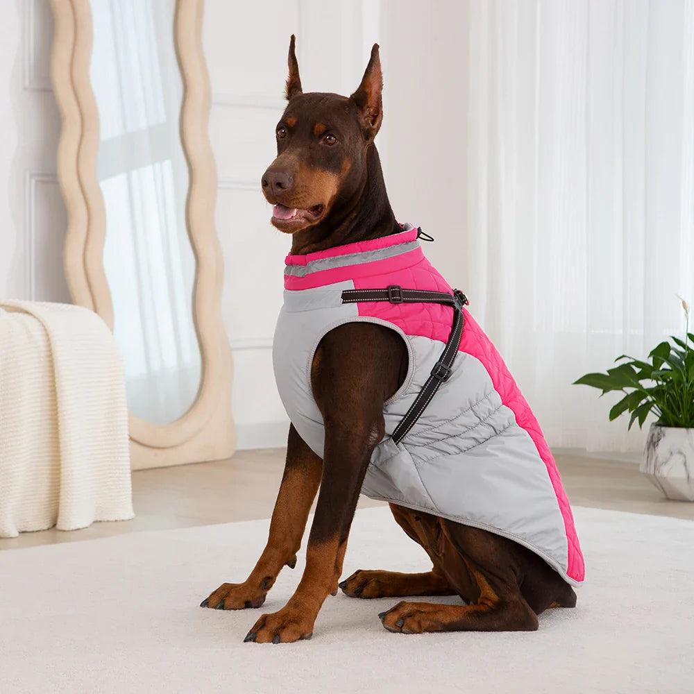 Manteau Chien Harnais Intégré