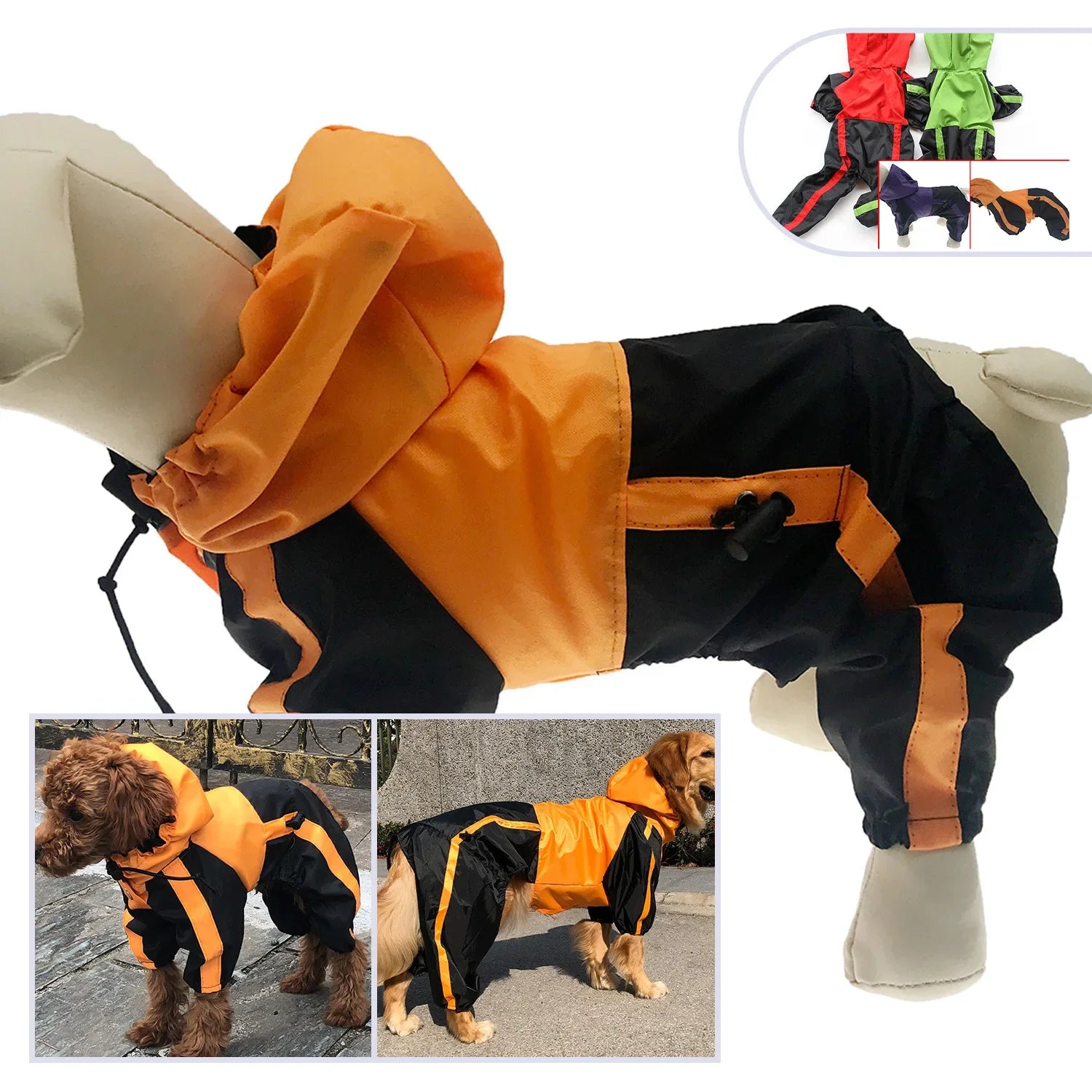Manteau Chien Bull Terrier