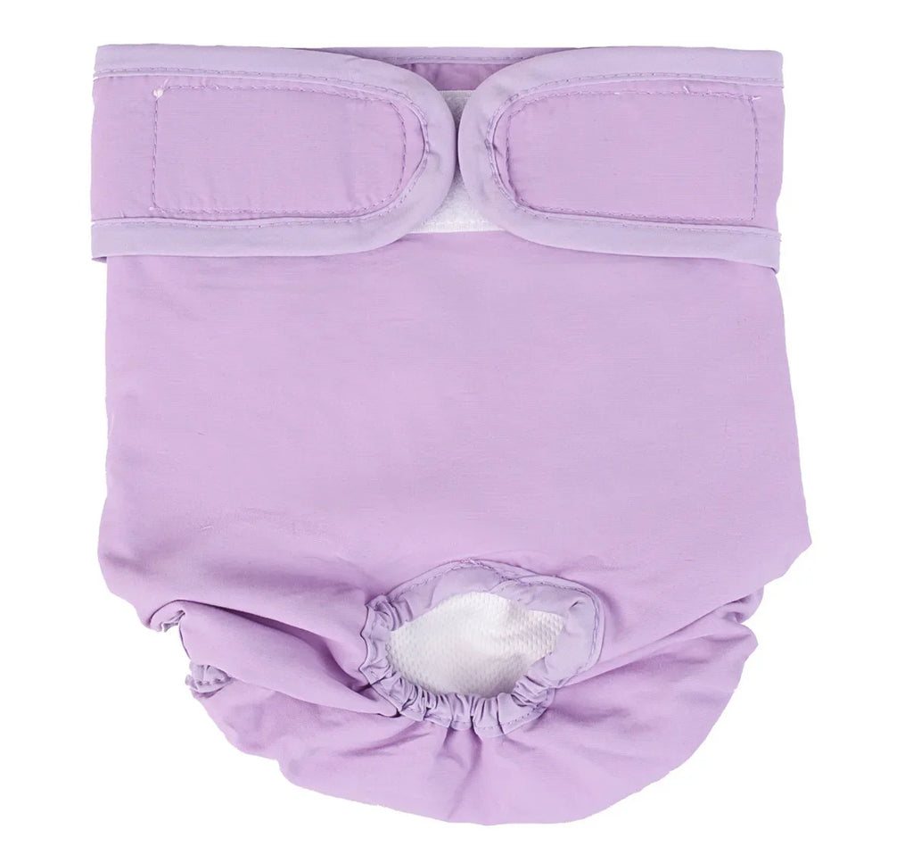 Couche pour Chien Règle / Incontinence