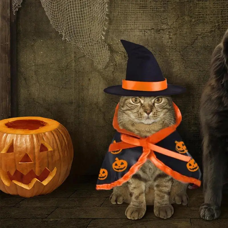 Déguisement Halloween Chat