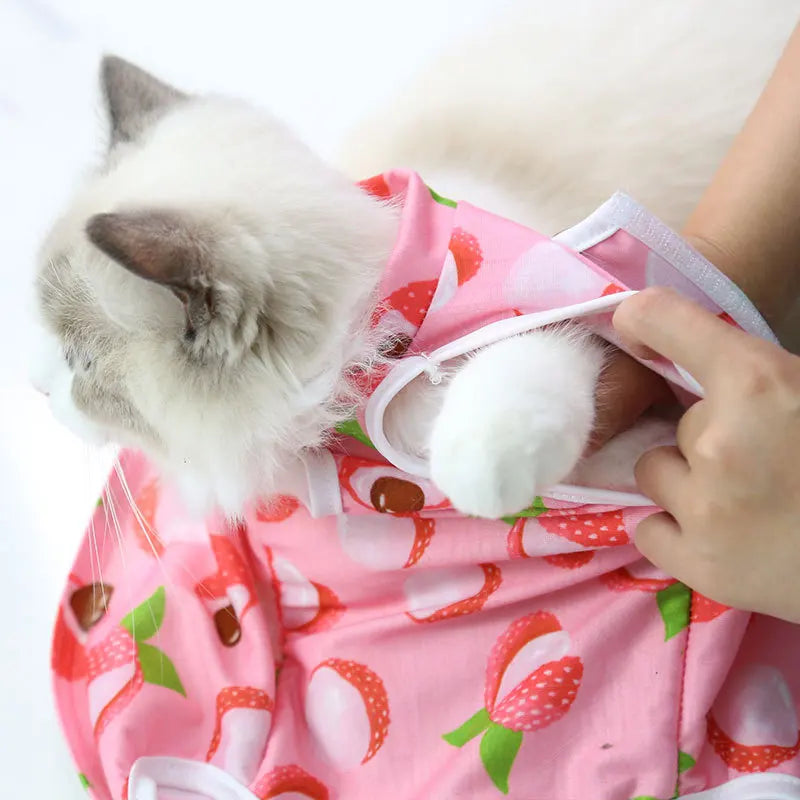 Body Anti Léchage Chat