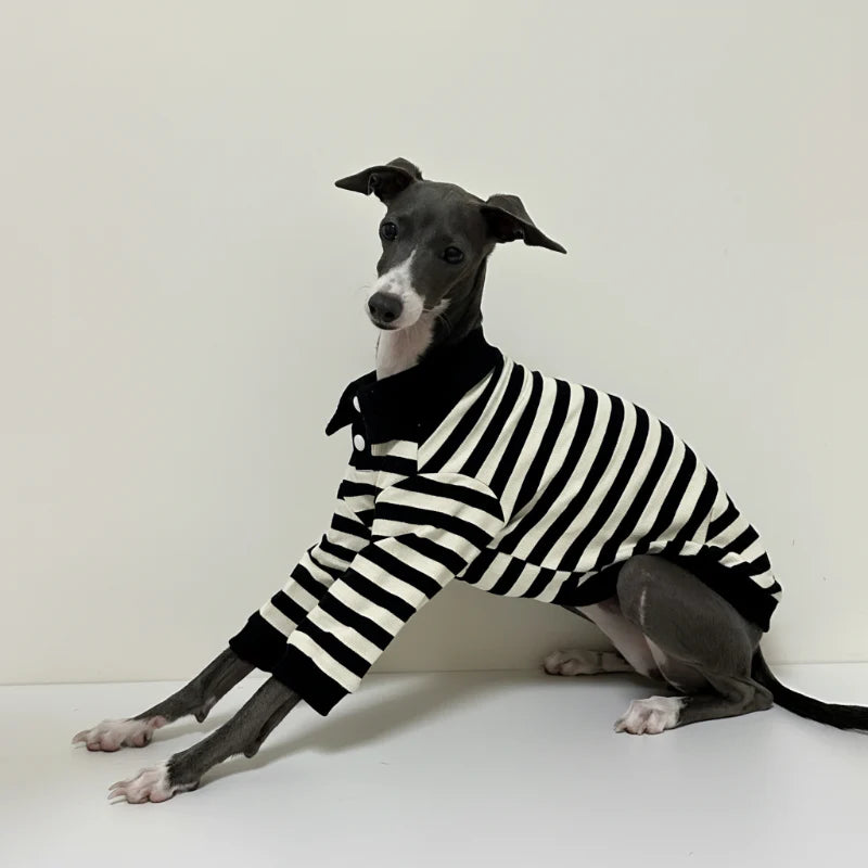 Polo En Coton Rayé Pour Lévrier Et Whippet