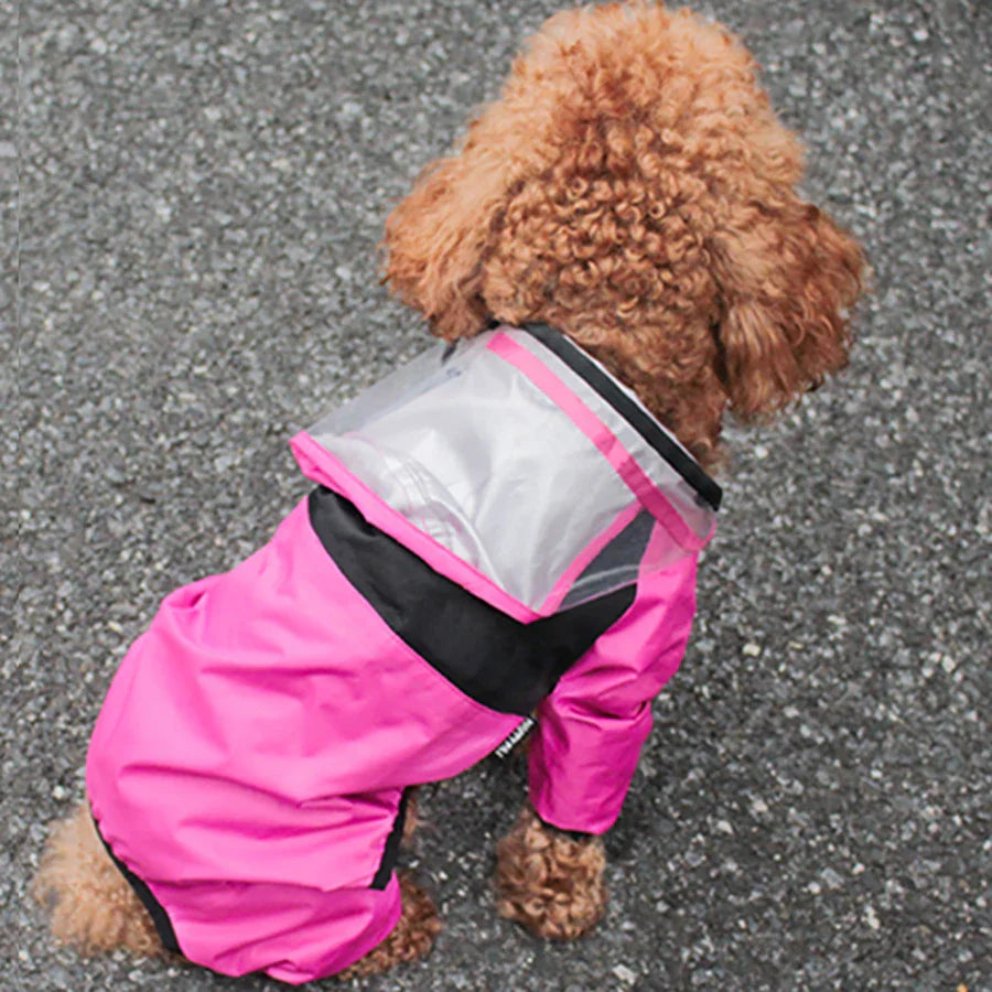 Manteau Intégral Chien