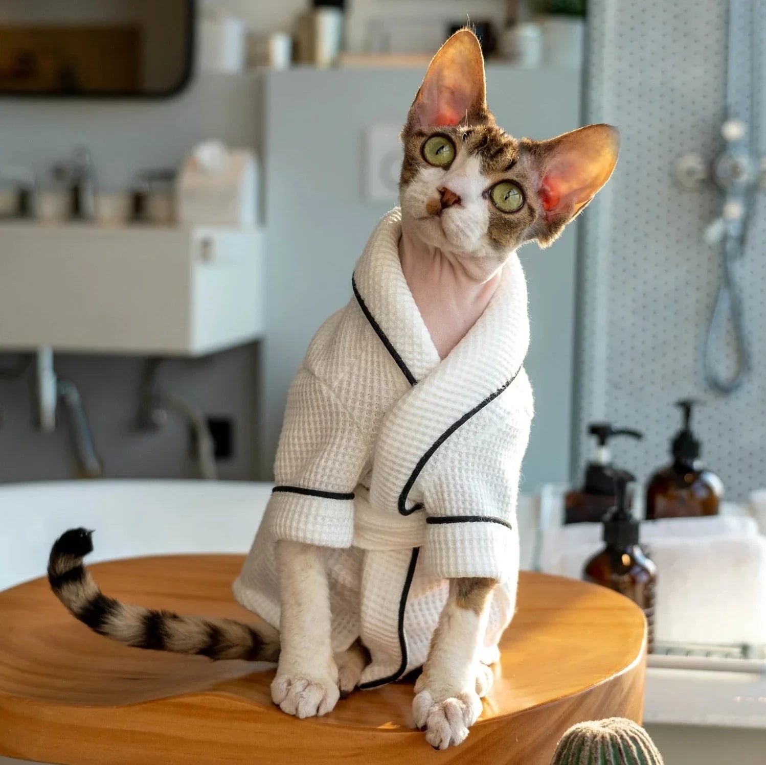Peignoir pour Chat
