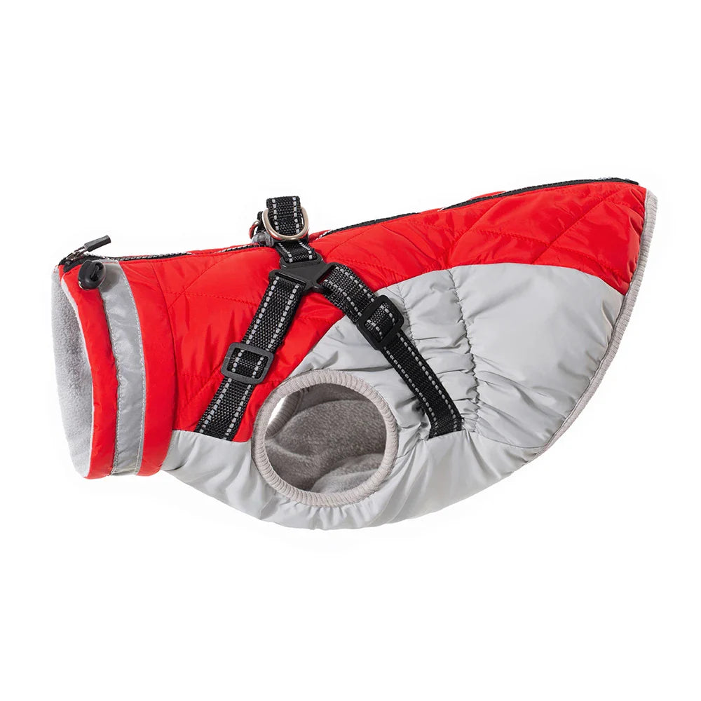 Manteau Chien Harnais Intégré