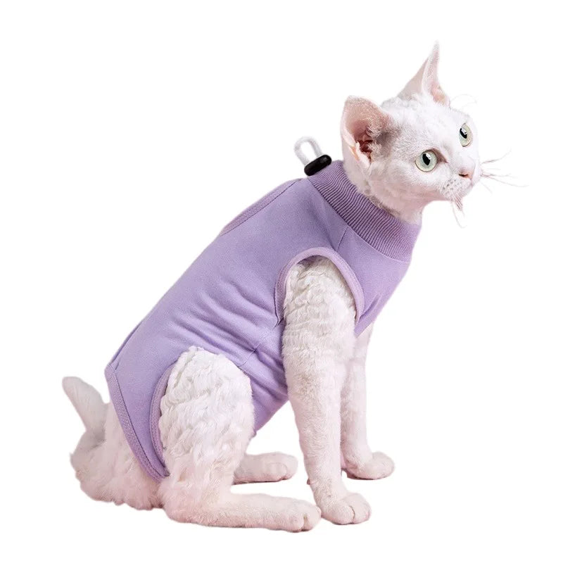 Body Post Opératoire Chat