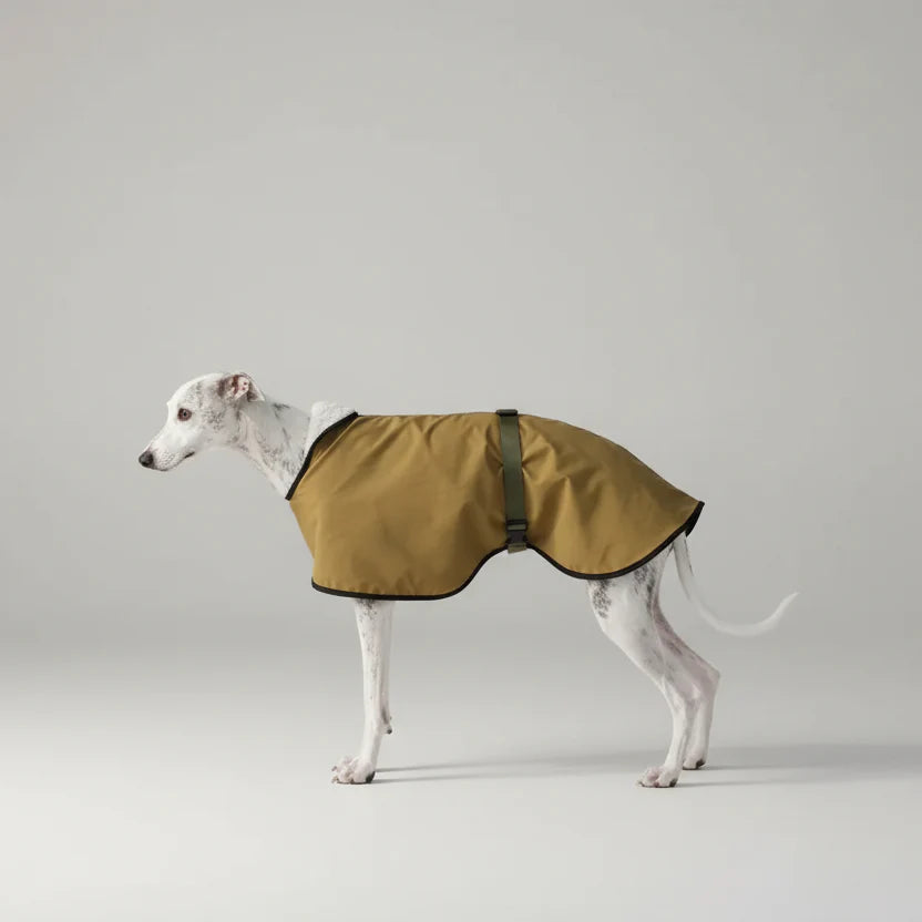 Imperméable En Polaire Doux Et Chaud Pour Lévrier Et Whippet