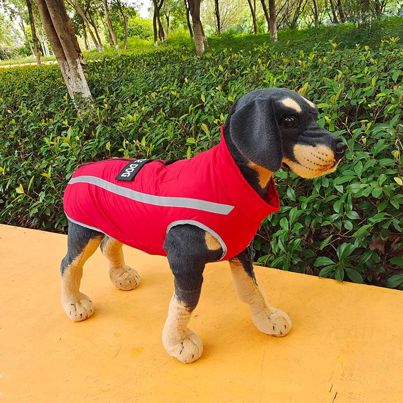 Veste Chien Hiver