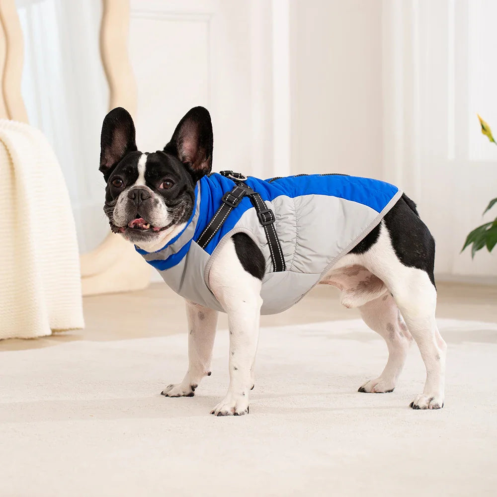 Manteau Chien Harnais Intégré