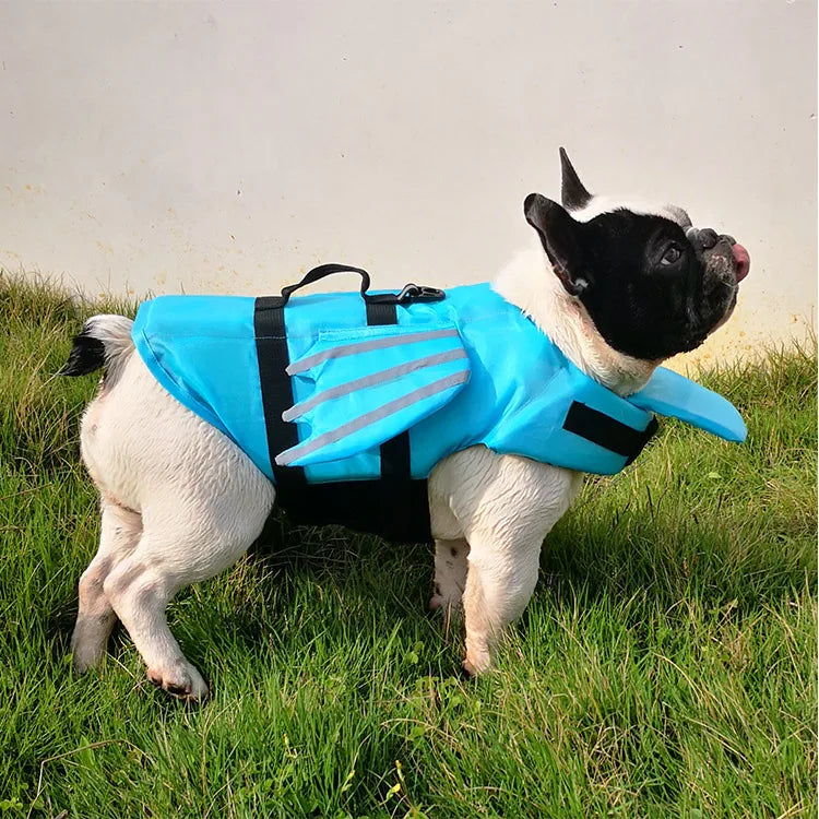 Harnais Flottant Chien