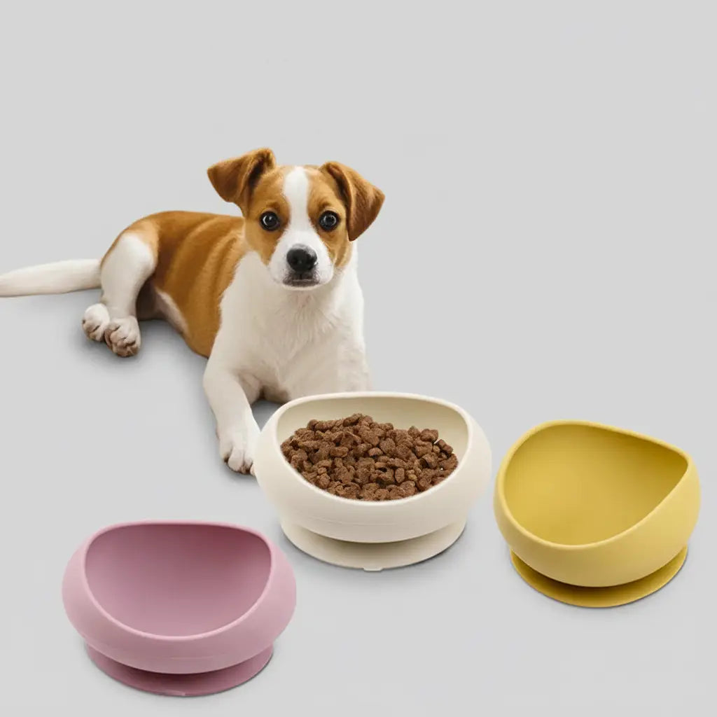 Gamelle En Silicone Pour Chat Et  Petit Chien Avec Ventouse