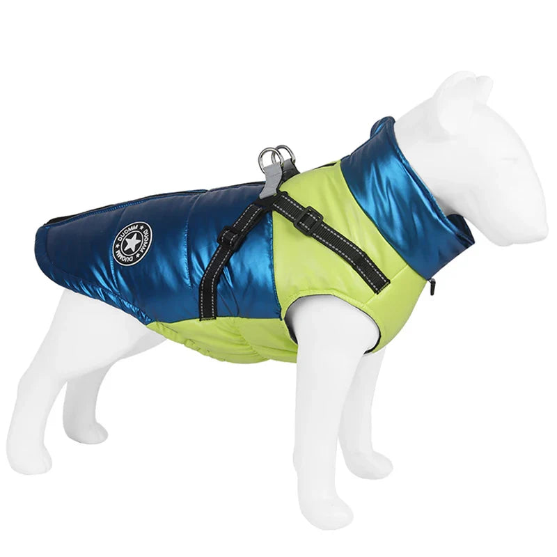 manteau pour chien jack russel