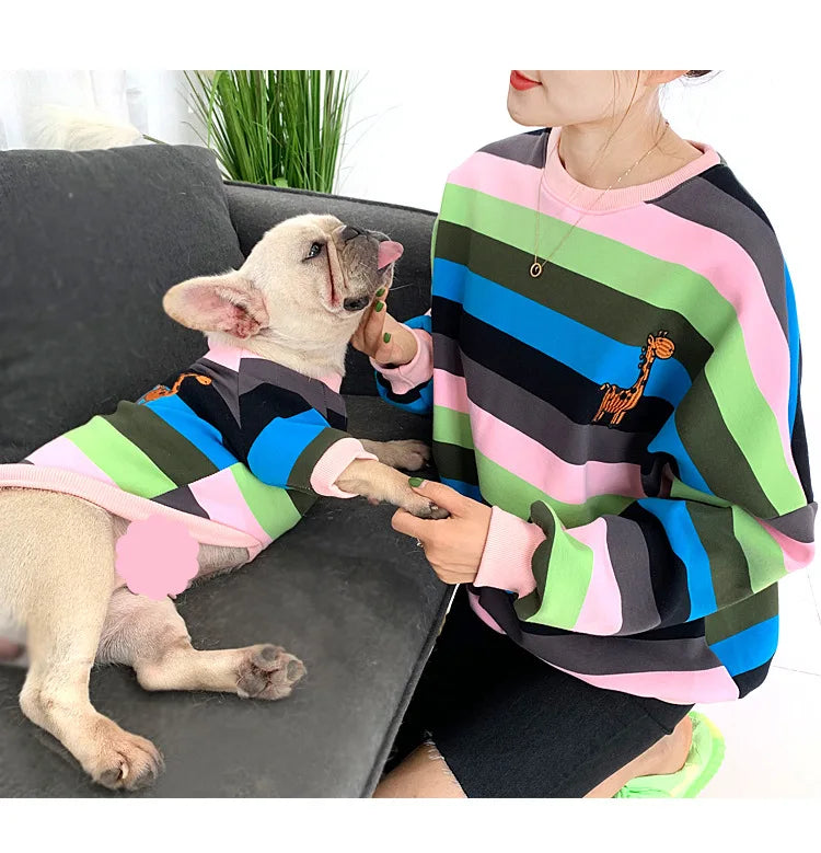 Pull Chien Maître Femme