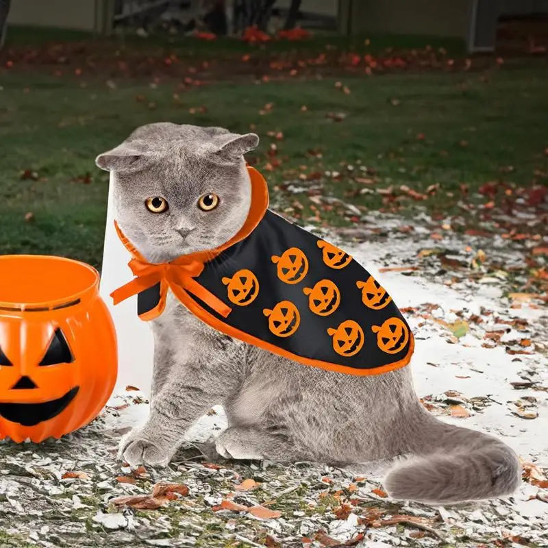 Déguisement Halloween Chat