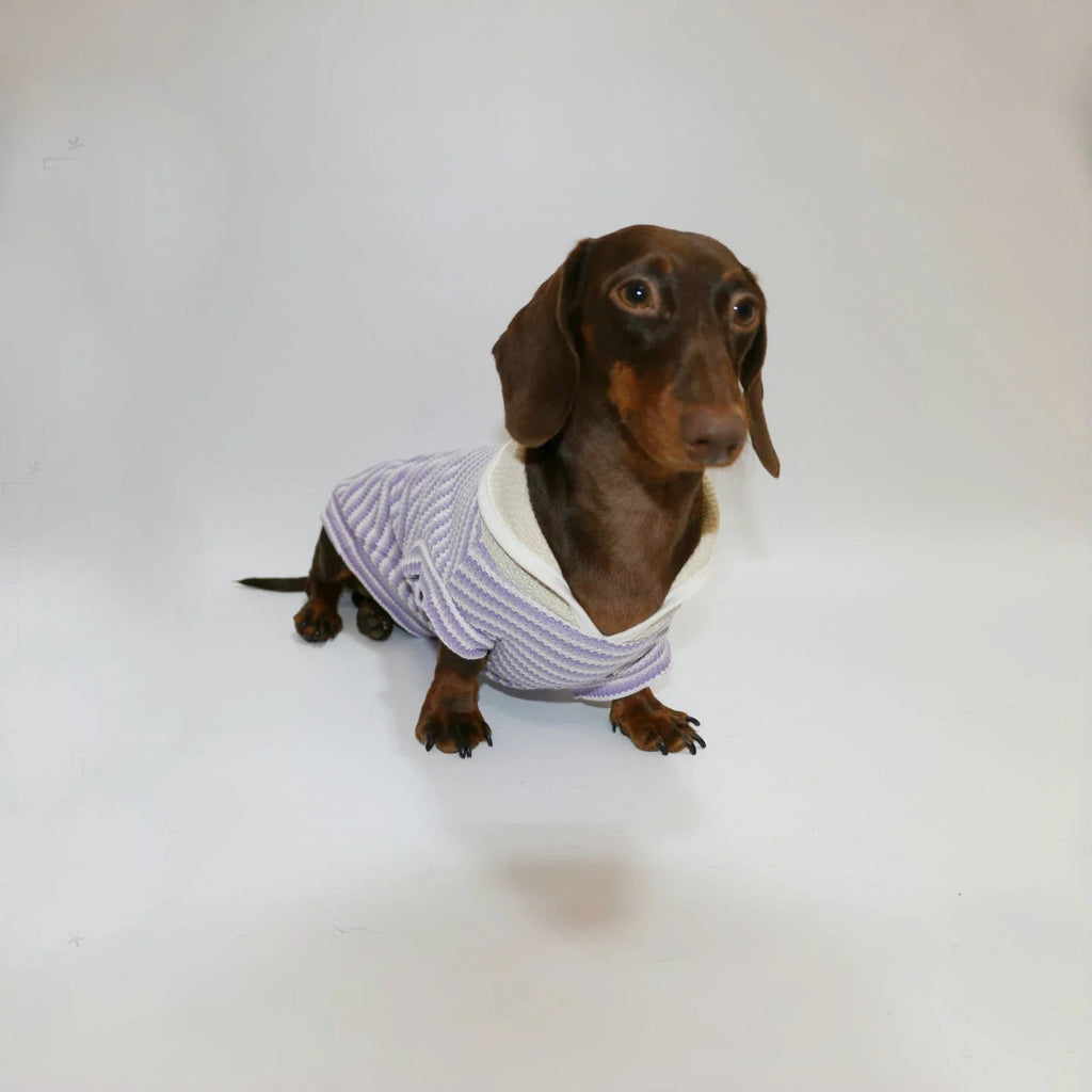 T-shirt Rayé Sans Manche Pour Chien Teckel