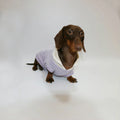 T-shirt Rayé Sans Manche Pour Chien Teckel