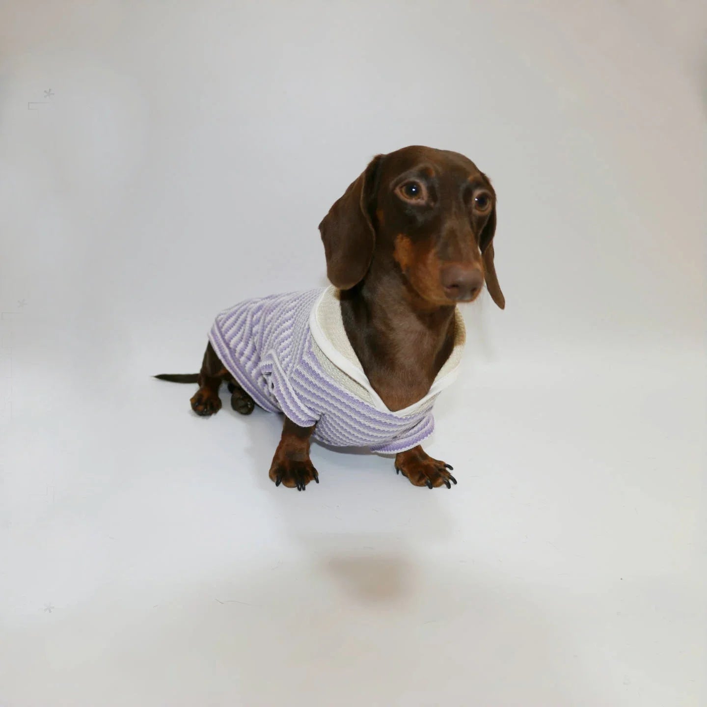 T-shirt Rayé Sans Manche Pour Chien Teckel