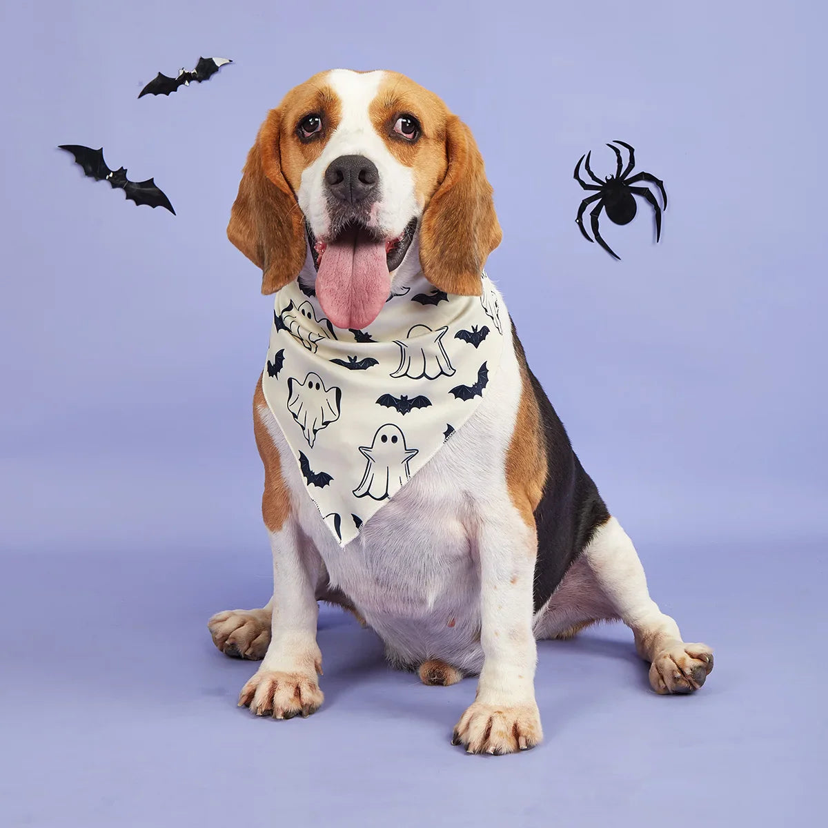 Bandana Halloween Chien
