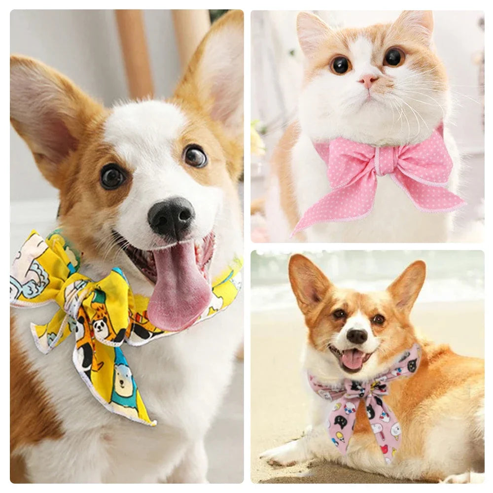 Bandana Rafraichissant pour Chien
