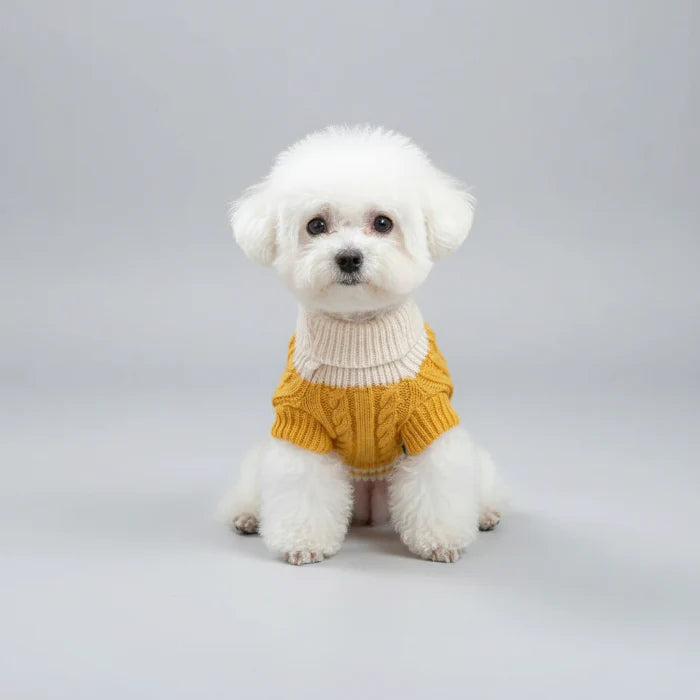 Pull Boutons Torsades Jaune Pour Chien
