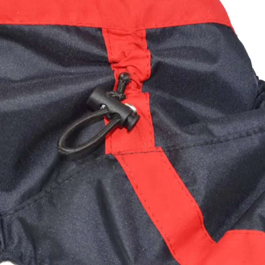 Manteau Chien Bull Terrier