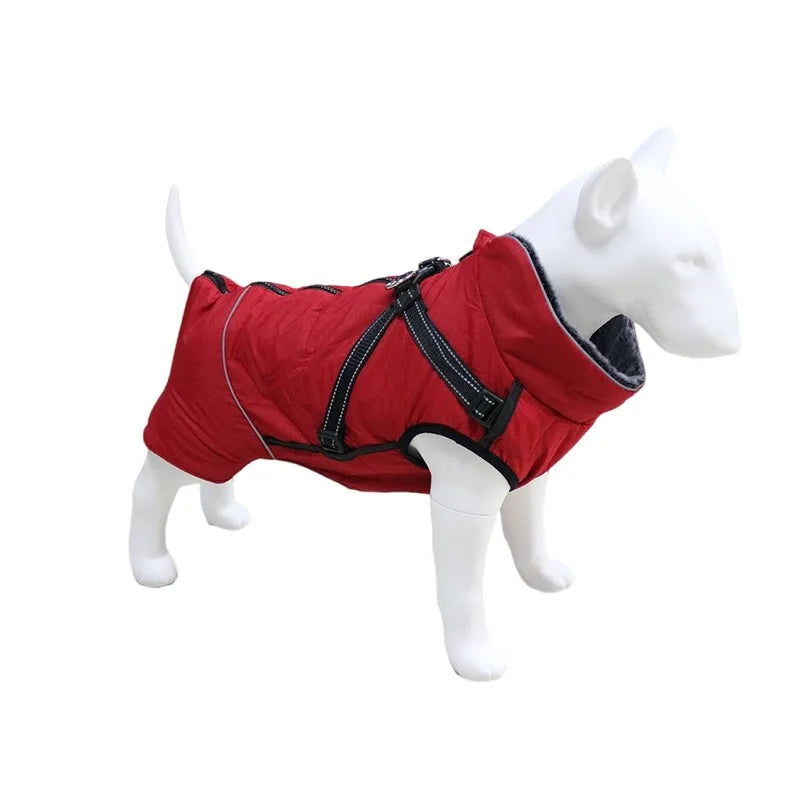 Veste Fourrure Chien