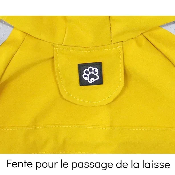 Imperméable Chien avec Capuche