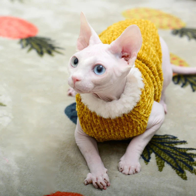 Pull à Fourrure pour Chat