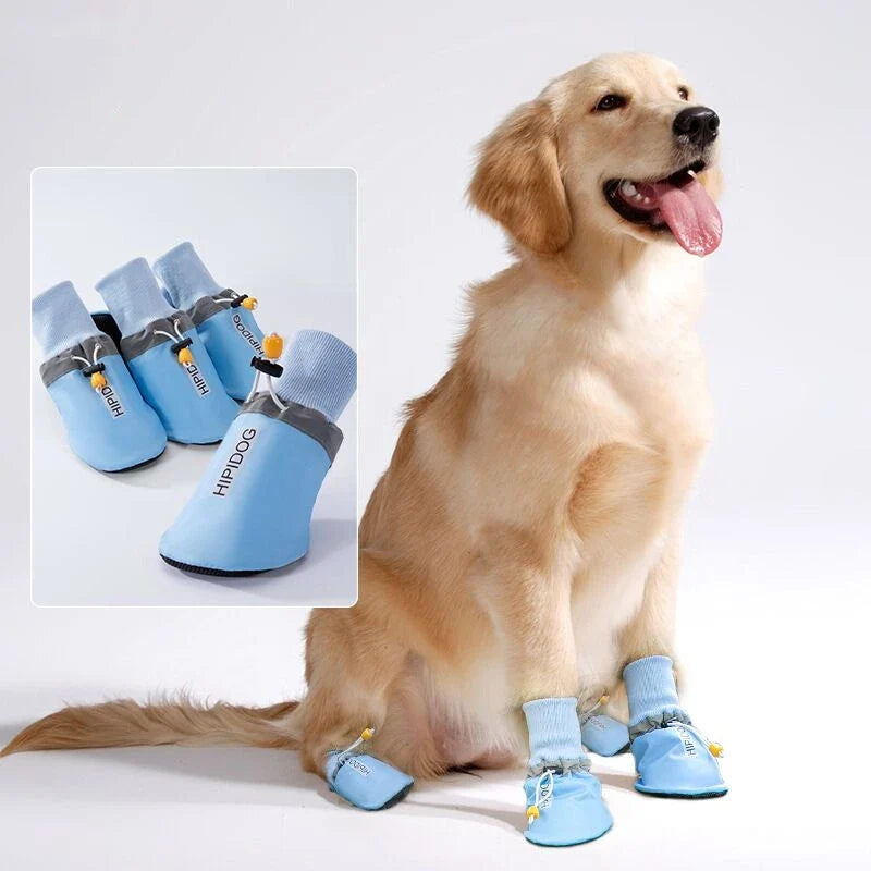 Chaussures Golden Retriever & Grand Chien