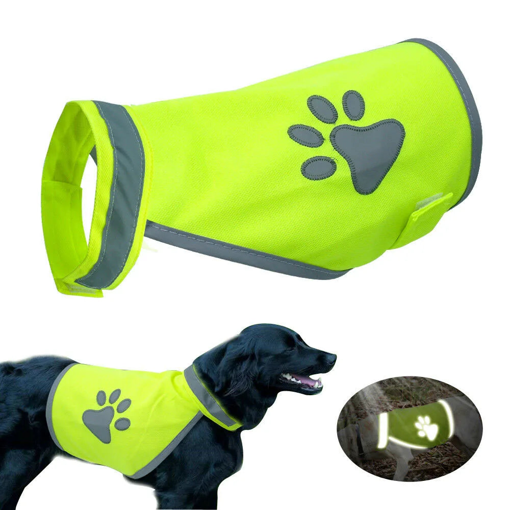 Veste Réfléchissante Chien