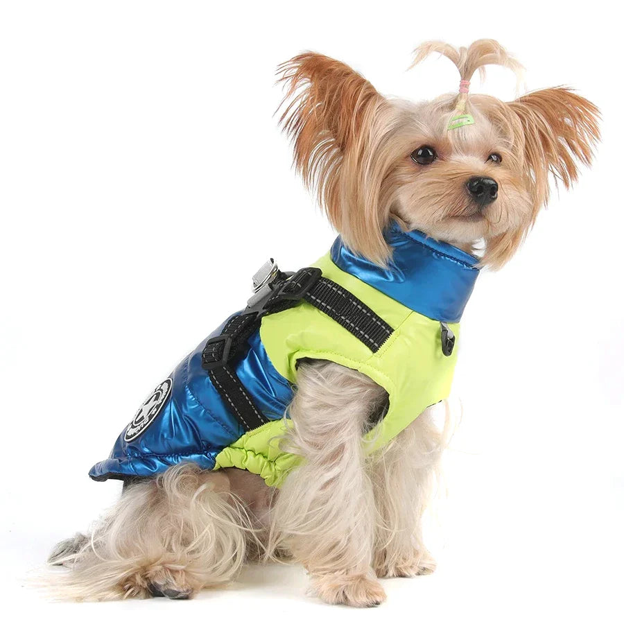 Manteau Yorkshire Terrier / Petit Chien